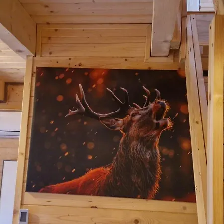 Rykowisko Deluxe No 3 * Korbielów