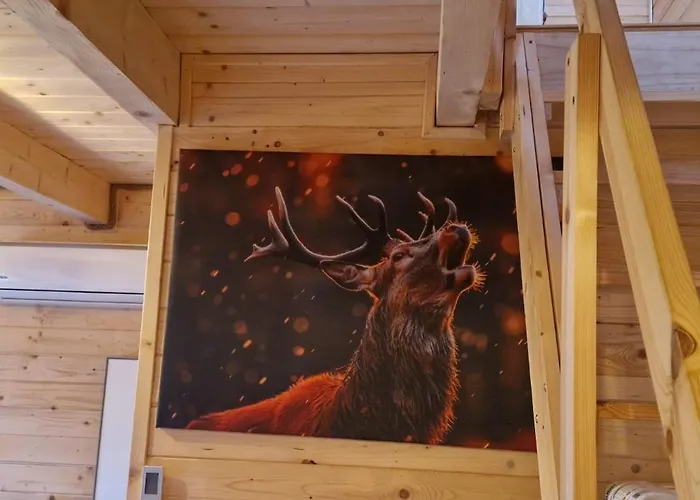 Rykowisko Deluxe No 3 * كوربييلوف